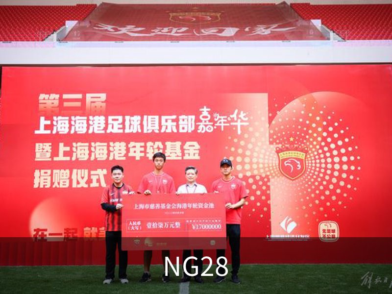 NG28概况